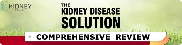 the-kidney-disease-solution-review