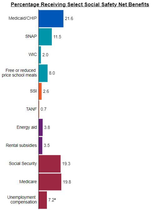 who-is-receiving-social-safety-net-benefits-information-for-practice