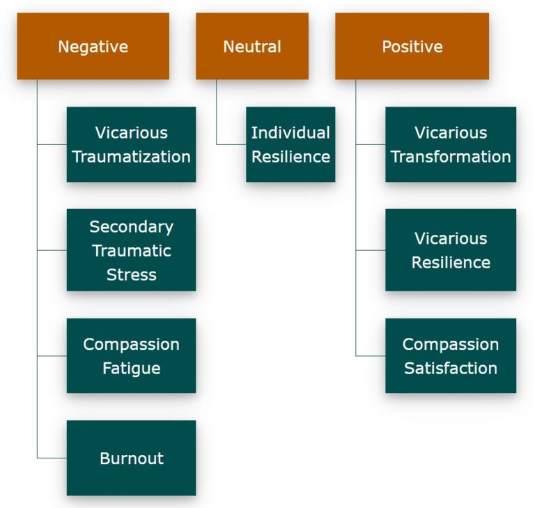 case study on vicarious trauma