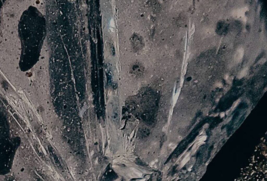 ProPublica | B Mollenkof