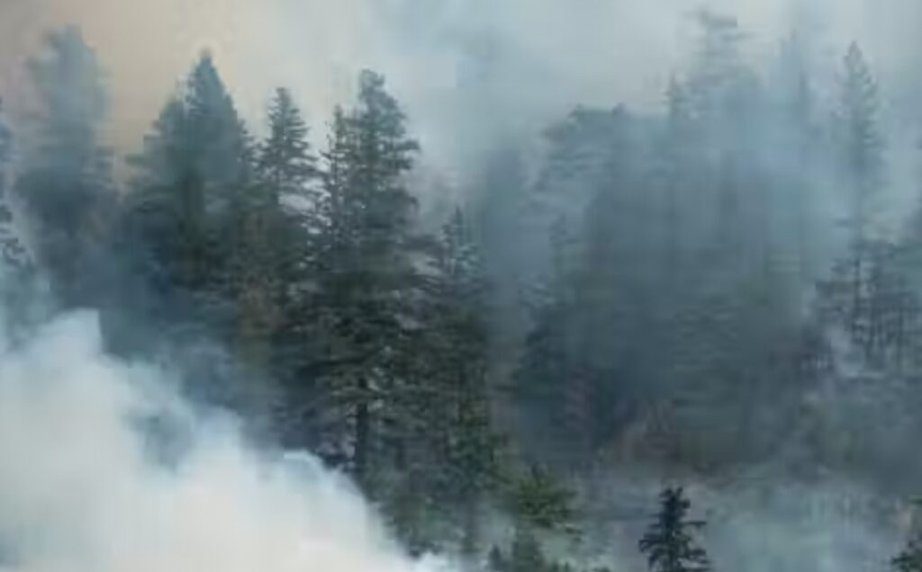 The Conversation | The Canadian Press/T Martin