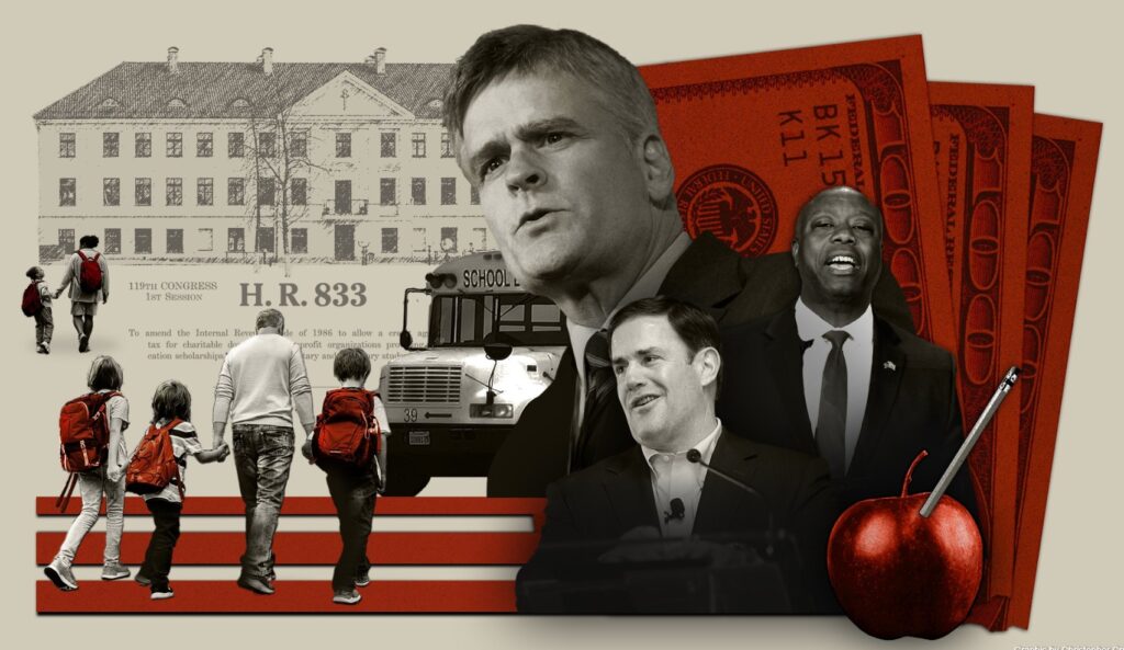 The Progressive | C Cruz