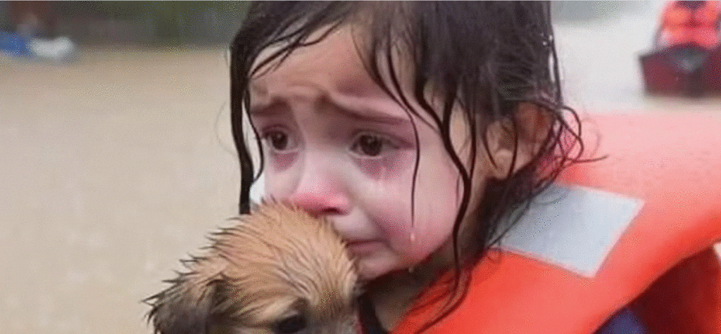 The Conversation | AI-generated image circulated on social media