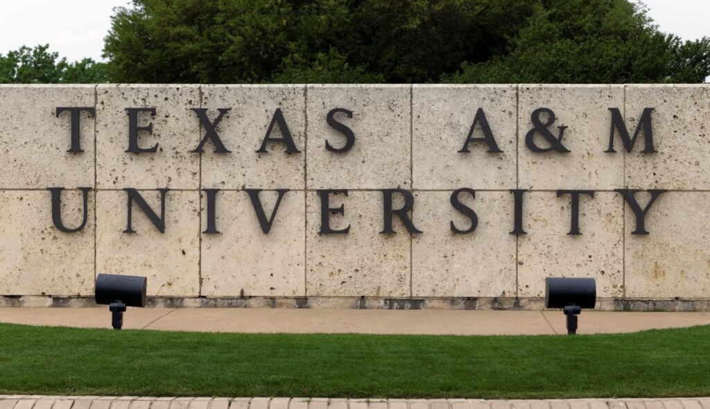 Higher Ed Dive | wellesenterprises/Getty