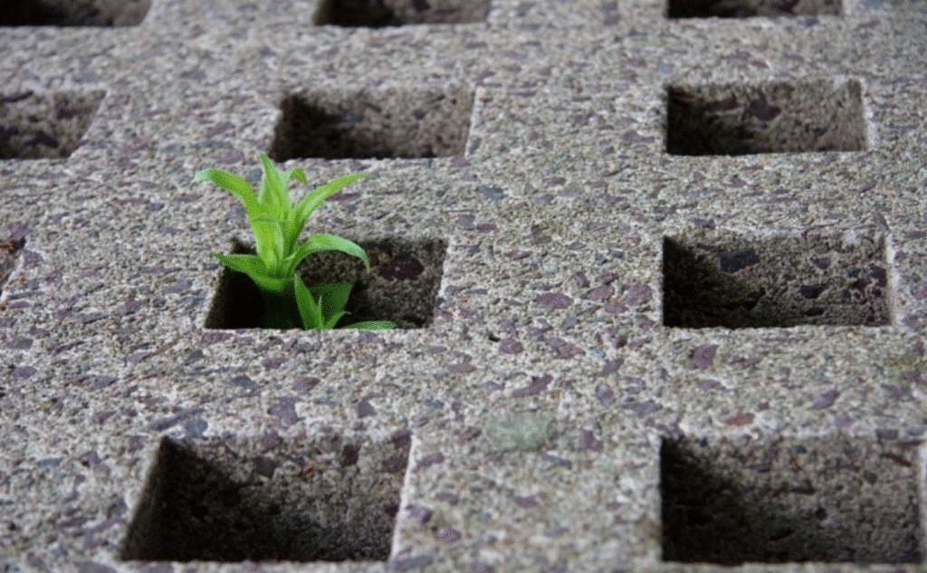 Canadian Dimension | Digfarenough/Wikimedia Commons