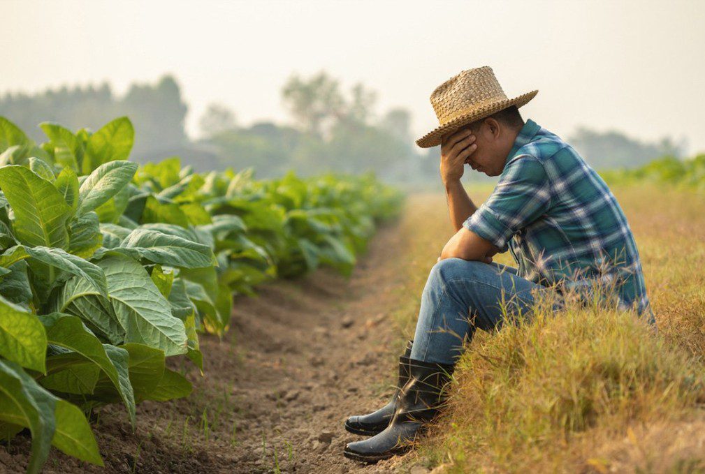 NPQ | PhanuwatNandee/iStock