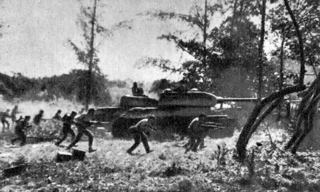 CounterPunch | Rumlin