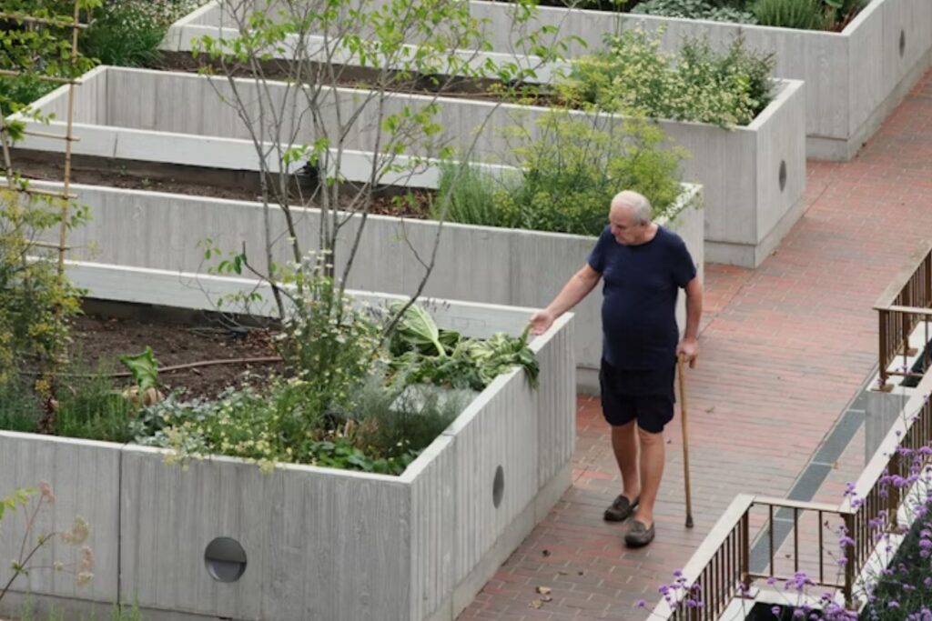 The Conversation | P Vile