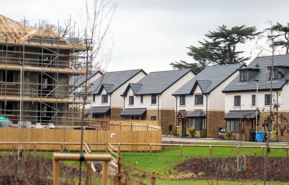 The Guardian | M McLean/Rex/Shutterstock