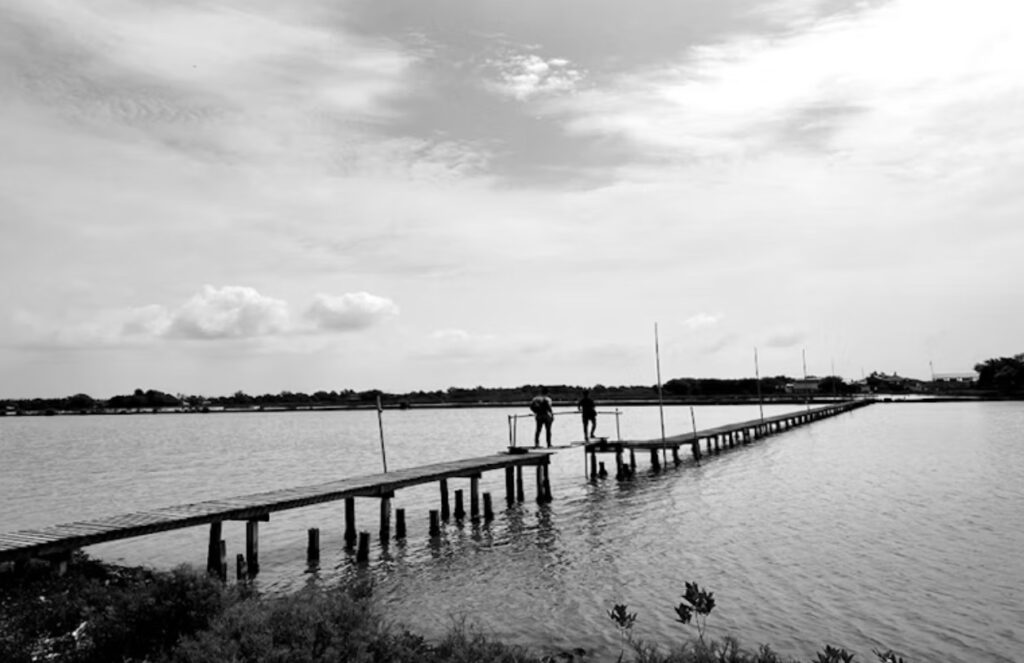 The Conversation | D Marks