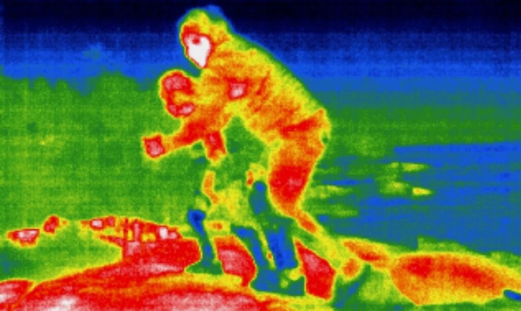 ifex | J Moore/Getty