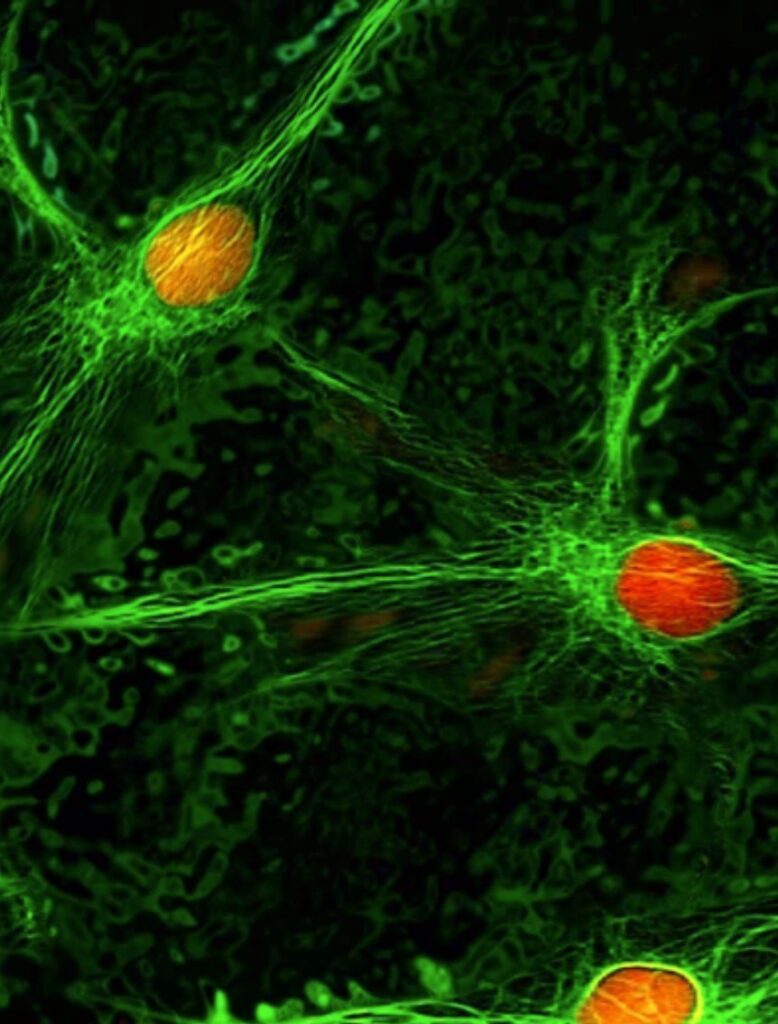 nature | M Agliolo/Science Photo Library