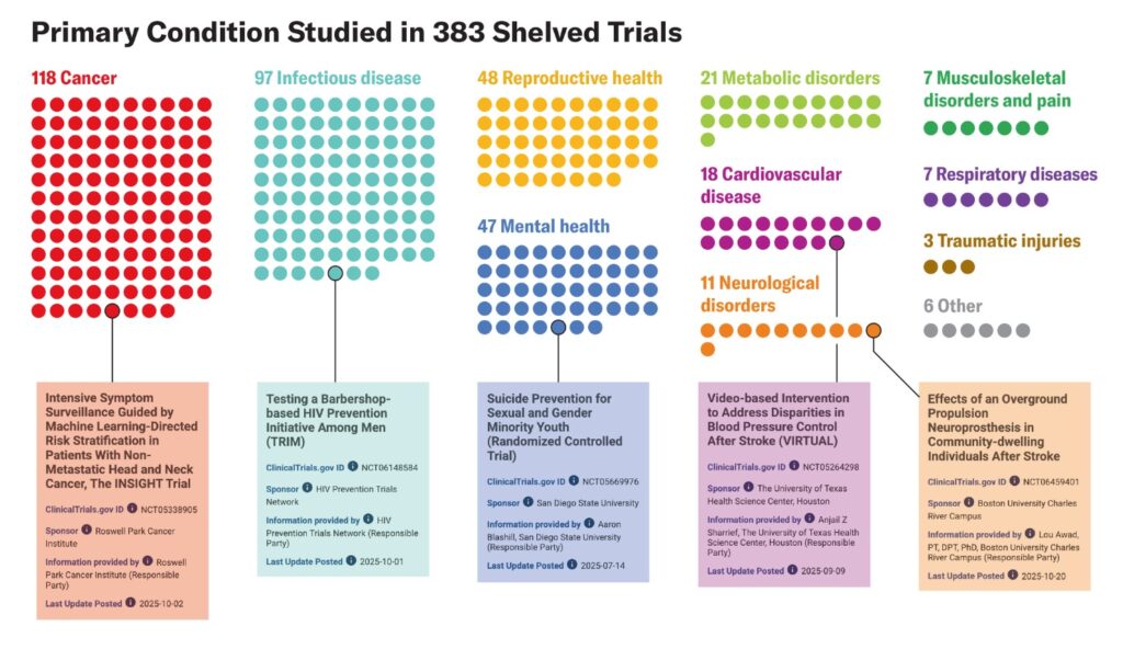 Scientific American | A Montañez