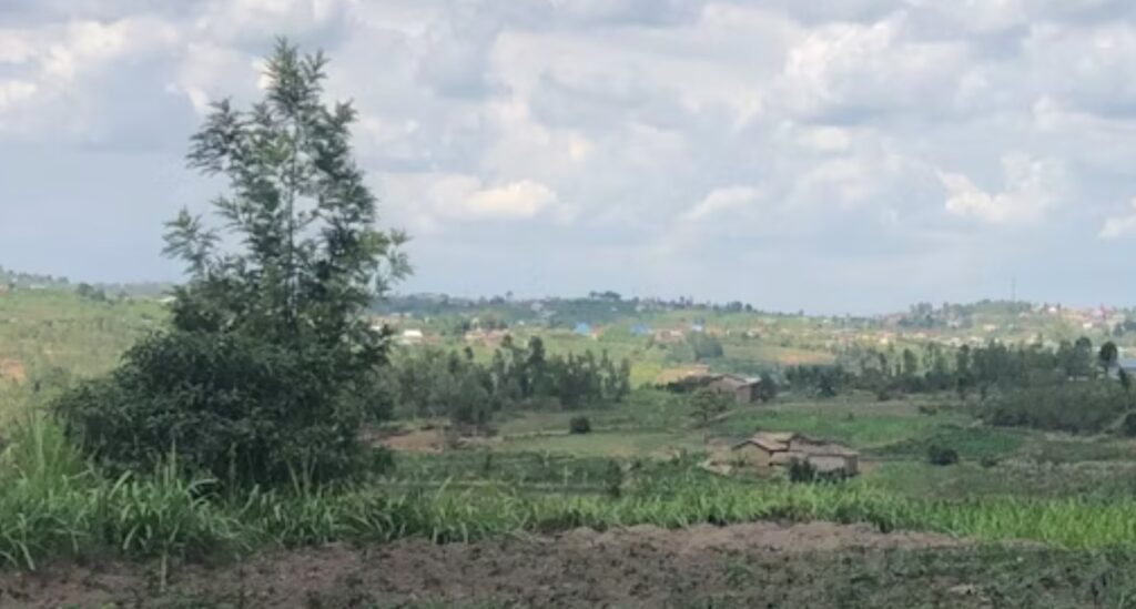 The Conversation | N Fox